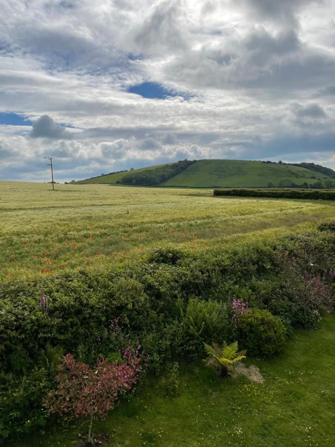 Westerley Country B & B With Exclusive Guest Lounge Buckfastleigh Exterior photo