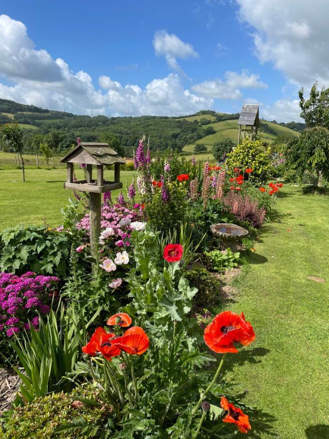 Westerley Country B & B With Exclusive Guest Lounge Buckfastleigh Exterior photo