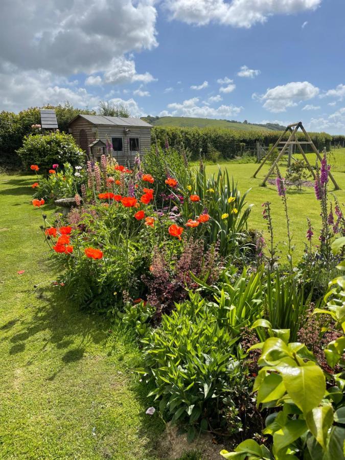 Westerley Country B & B With Exclusive Guest Lounge Buckfastleigh Exterior photo